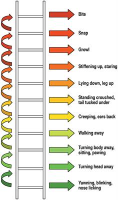 Teaching Children and Parents to Understand Dog Signaling